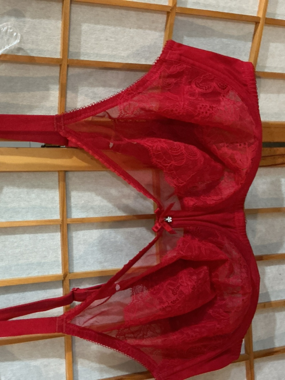 WACOAL CHANTILLY LACE BRA
